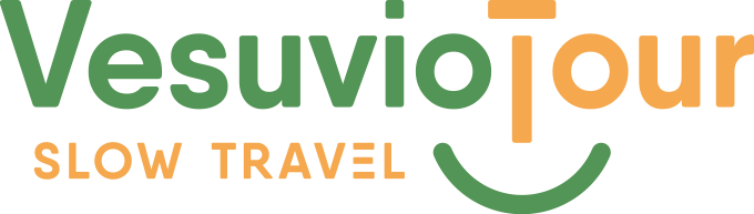 logo VesuvioTour