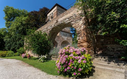 Immagine Massimago Wine Tower