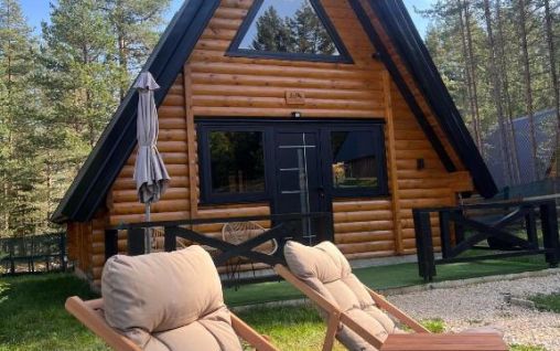 Immagine Pine Forest Black - Zabljak