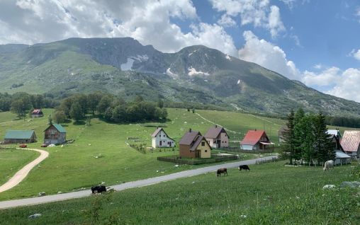Immagine Blackberry house - Žabljak