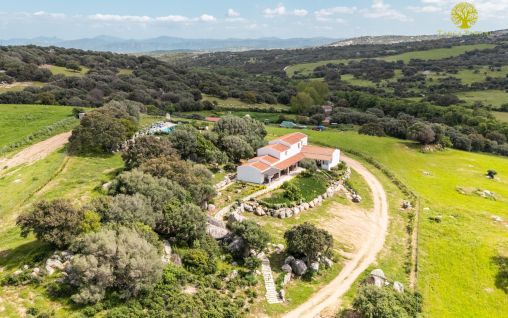 Immagine Agriturismo Tanca Taroni – Telti