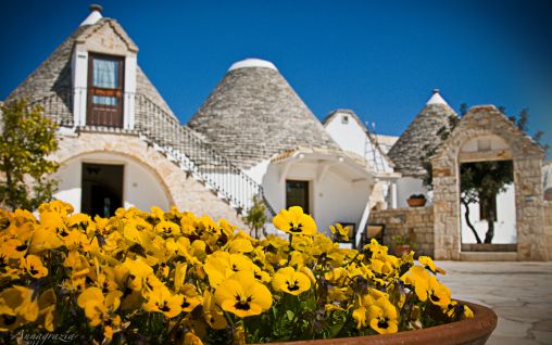 Immagine B&B Fascino Antico - Alberobello