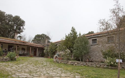 Immagine Agriturismo Testone - Nuoro