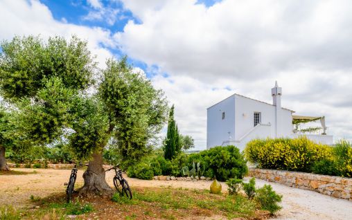 Immagine Masseria Montefieno - Conversano, Bari