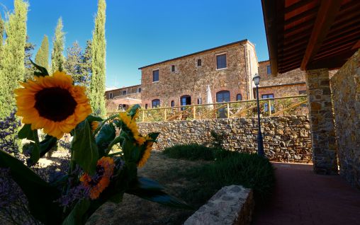 Immagine Borgo Casalappi - Campiglia Marittima