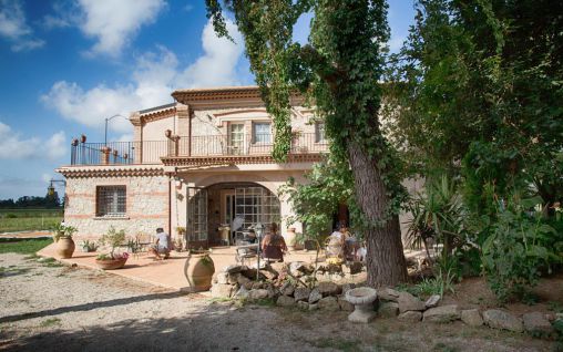 Immagine Bio Agriturismo Don Carlo - Mesiano, Tropea