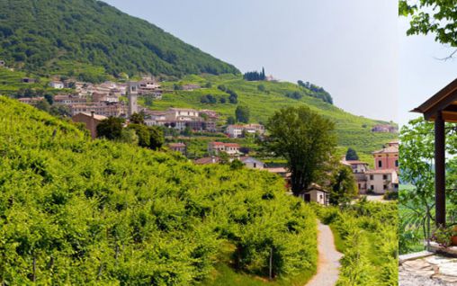 Immagine Agriturismo Due Carpini - Valdobbiadene 