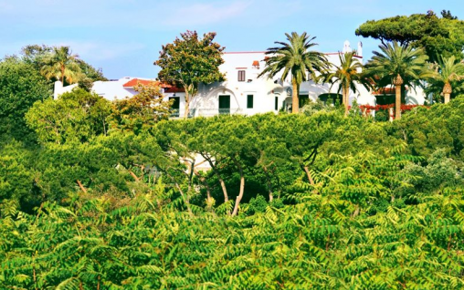 Immagine Hotel Myage -  Casamicciola Terme, Ischia