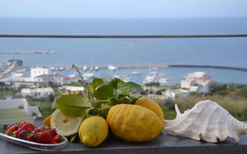 Immagine Terra Murata - Procida