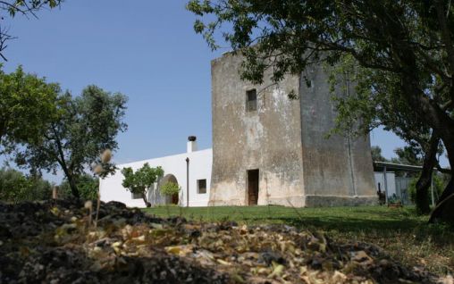 Immagine Torre del Cardo - Porto Cesareo, Lecce