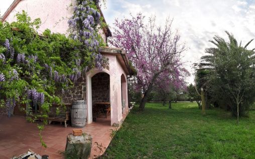 Immagine Bioagriturismo Nure - Alghero