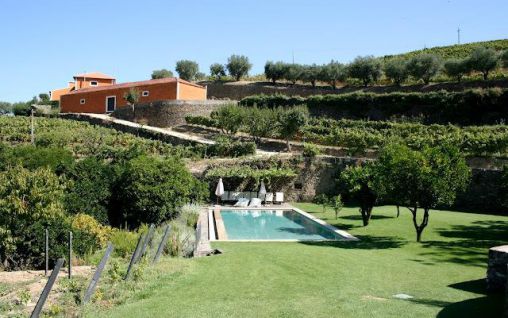 Immagine Quinta do Vallado Wine Hotel - Duoro Valley