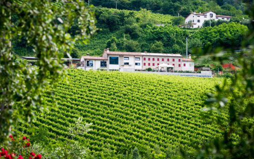 Immagine Ca' Piadera Wine Relais - Treviso